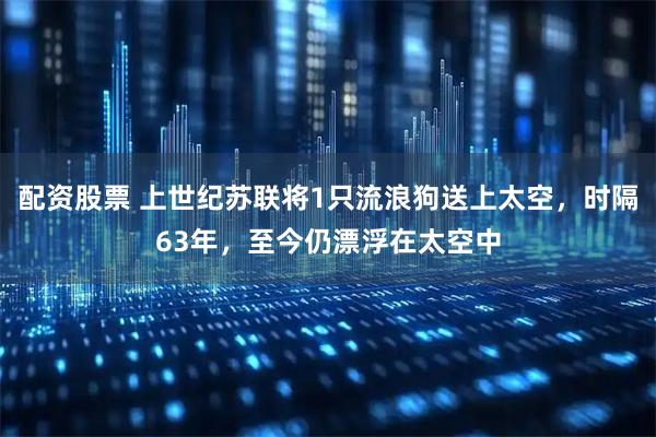 配资股票 上世纪苏联将1只流浪狗送上太空，时隔63年，至今仍漂浮在太空中